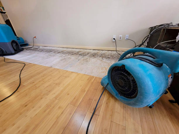 Reliable Basement Flood Cleanup contractor in Leonard, TX by Hirex Water Damage