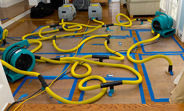 Professional Basement Flood Cleanup technician working in Leonard, TX